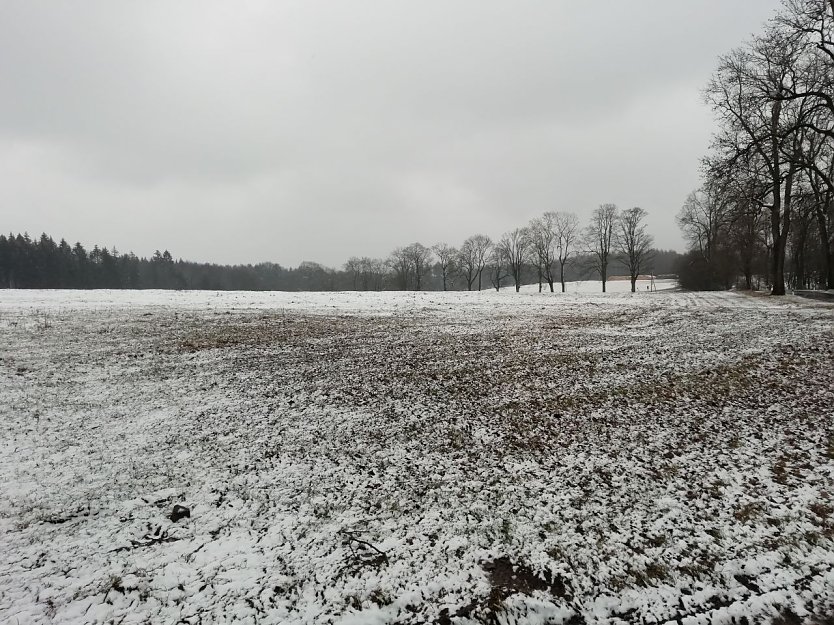 Trüb und frisch war es heute morgen auch in Sophienhof (Foto: W. Jörgens) Trüb und frisch war es heute morgen auch in Sophienhof (Foto: W. Jörgens)