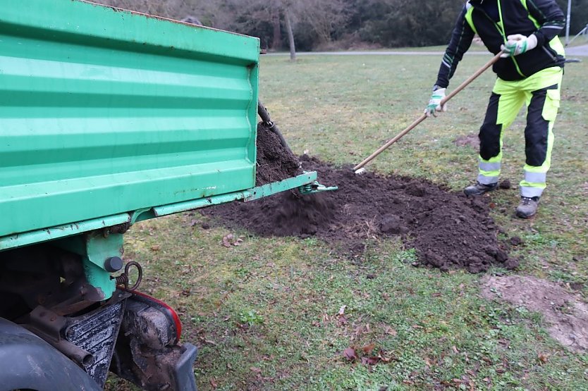 L&ouml;cher verf&uuml;llt: im Stadtpark kann Entwarnung gegeben werden (Foto: Stadtverwaltung Nordhausen)