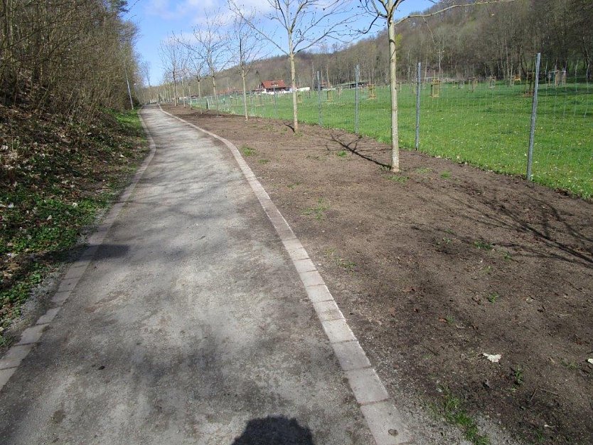 Frisches Gr&uuml;n am Rande Neustadts (Foto: Inge Schoolmann)