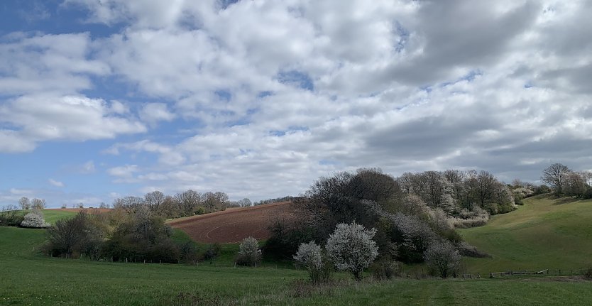 An der Gumpe bei Nordhausen (Foto: oas)