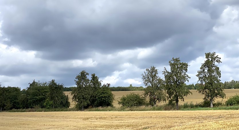 Das regnerische Wetter endet morgen (Foto: oas) Das regnerische Wetter endet morgen (Foto: oas)