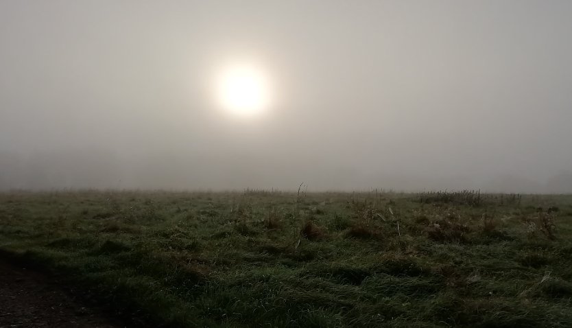Im Hochharz heute Morgen (Foto: W.J&ouml;rgens)