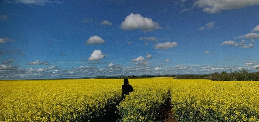 Neuer Kurs f&uuml;r Musiktherapie startet im September (Foto: D.Heise)
