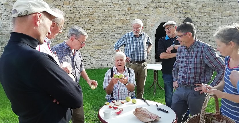 Oma wei&szlig; noch, wie die alten Sorten hei&szlig;en. Mehr dazu am n&auml;chsten Sonntag ins Bendeleben (Foto: K.Stiehler)