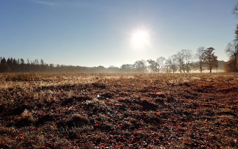 Aktuelle Wetterlage in den Hochlagen des S&uuml;dharzes (Foto: W.J&ouml;rgens)