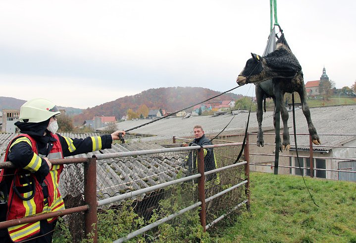 Tierrettung (Foto: Feuerwehr Heiligenstadt) Tierrettung (Foto: Feuerwehr Heiligenstadt)