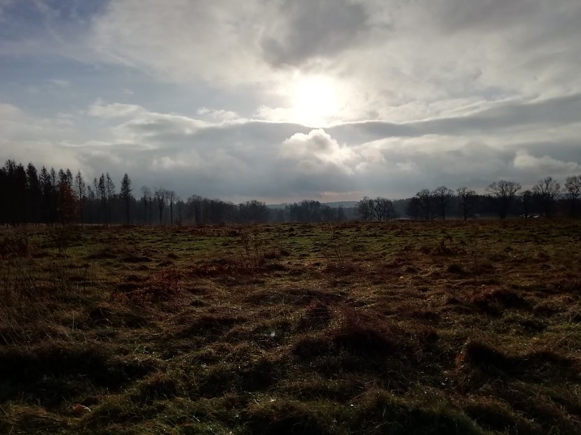 In Sophienhof zeigte sich der Herbst heute auch von seiner sch&ouml;nen Seite (Foto: W. J&ouml;rgens)