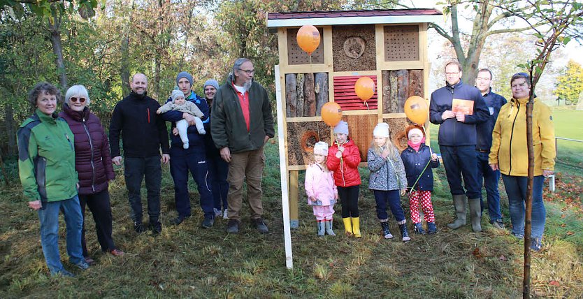 Wildbienen leisten wichtige Best&auml;ubungsarbeit, Verein setzt sich f&uuml;r ihren Erhalt ein. (Foto: Thomas R&ouml;ber)