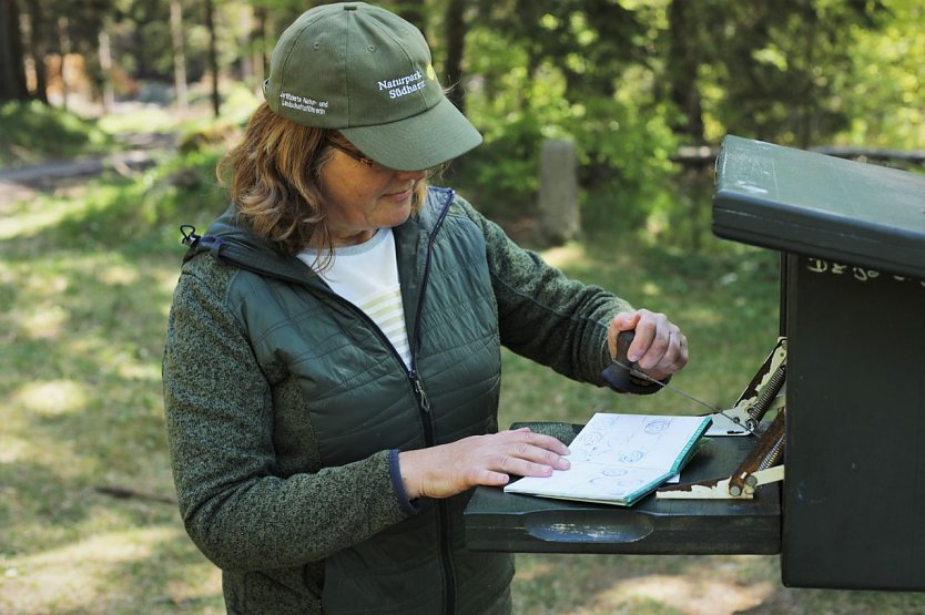 Stempel am Dreiherrenstein (Foto: Paula Schneller)