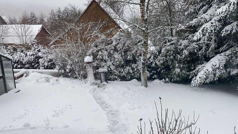 Wei&szlig;e Wintervorboten heute in Rothes&uuml;tte im Harz  (Foto: T. Meyer)