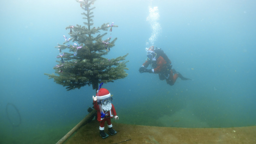 Weihnachtsgr&uuml;&szlig;e aus der Tiefe - am Taucherteich versenkte man gestern wieder den traditionellen Weihnachtsbaum (Foto: Tauchsportzentrum am Sundh&auml;user See)