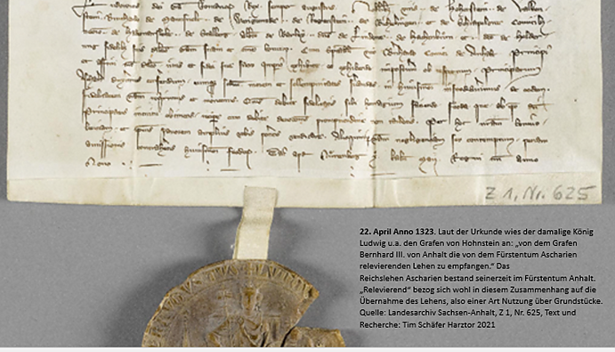 Urkunde zu Neustadt 1323 Grafschaft (Foto: T.Sch&auml;fer)