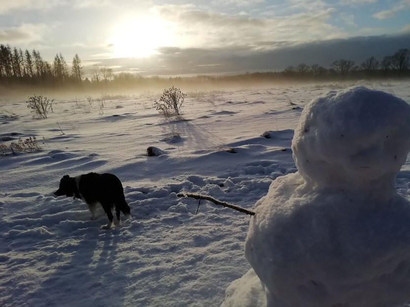 Bild: Bei Minus 1 Grad, Windstille und guten zehn Zentimeter Schnee erwachte heute Sophienhof im Harz