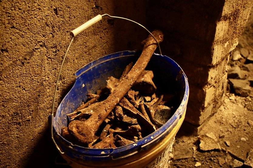 In den Erdhaufen fanden sich auch Knochen - zum verf&uuml;llen wurde scheinbar der Aushub aus Friedhofserde verwendet (Foto: agl)