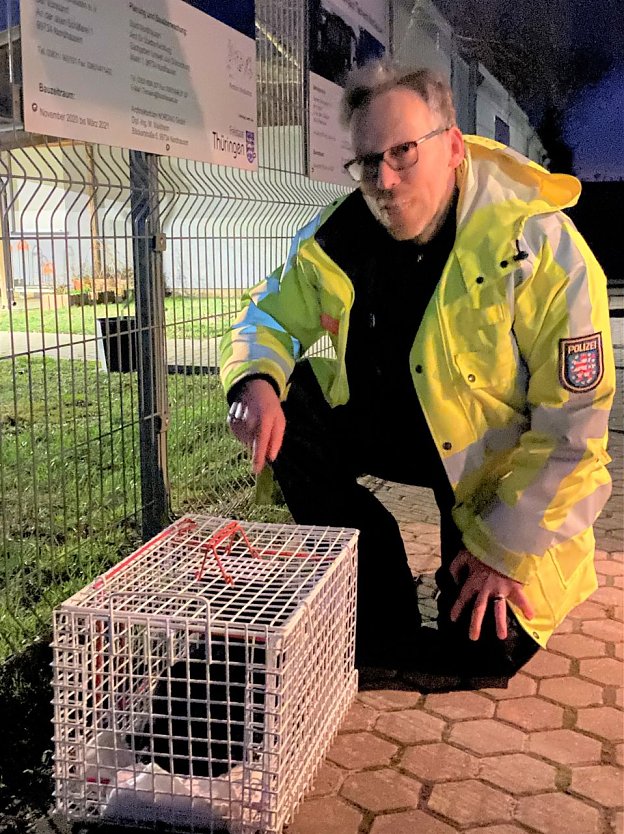 Die Beamten der Autobahnpolizei retteten am Wochenende ein kleines K&auml;tzchen auf der A38 (Foto: Landespolizeiinspektion Nordhausen)