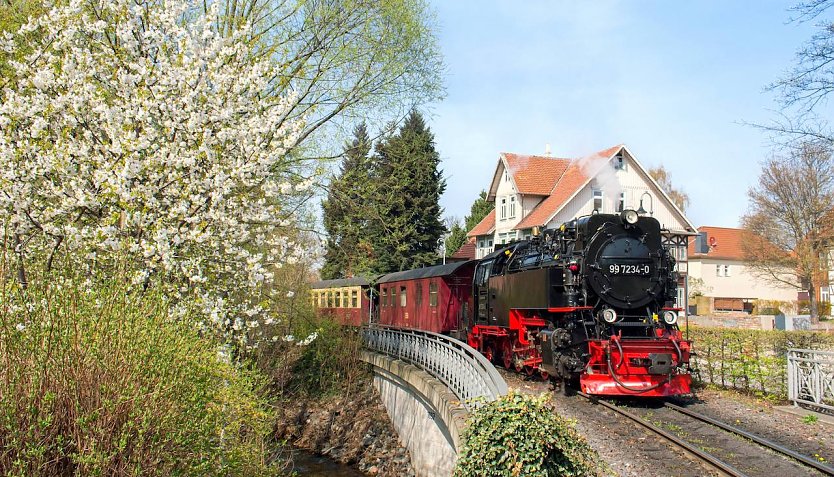 Mit Volldampf in die Saison 2022: Nach den coronabedingt erheblichen Einschr&auml;nkungen in 2021 blickt die HSB dank gelockerter Bedingungen f&uuml;r den Tourismus verhalten optimistisch auf das laufende Jahr. (Foto: HSB/Dirk Bahnsen)