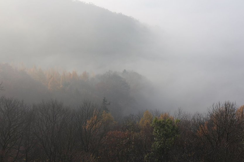 Wetterbild (Foto: agl)