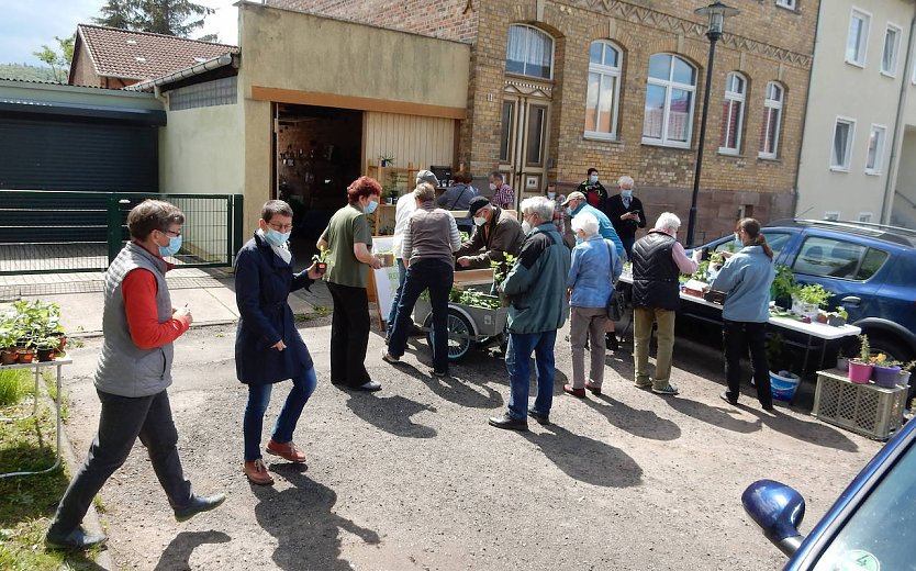 Pflanzentauschb&ouml;rse in Bad Frankenhausen (Foto: Andreas Zeidler)