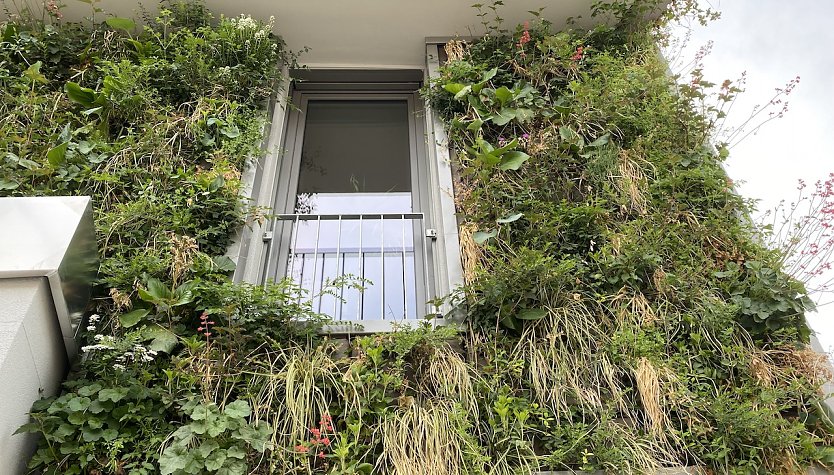 Nordhausens gr&uuml;nstes Haus wurde feierlich eingeweiht (Foto: oas)