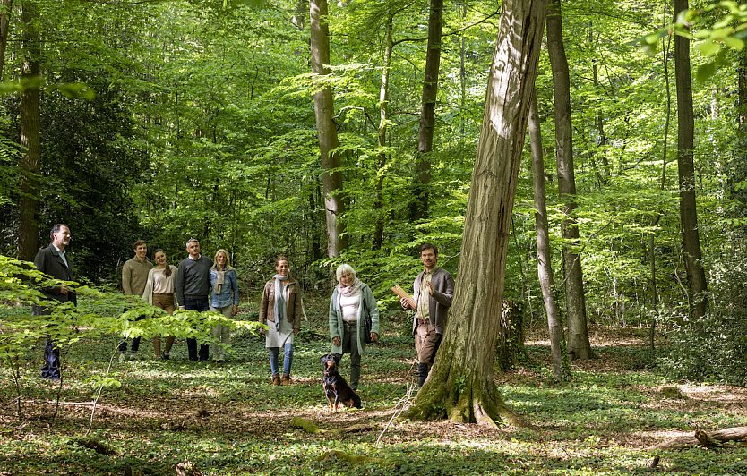 Waldf&uuml;hrung durch den FriedWald (Foto: FriedWald GmbH)
