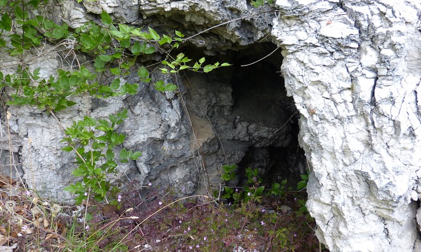 Der wieder aufgefundene Eingang der Ziegenh&ouml;hle  (Foto: Silvia Sch&auml;fer)
