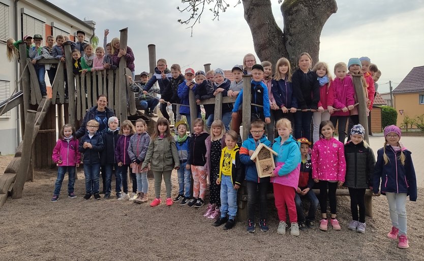 Dien keinen Insektensch&uuml;tzer aus Werther  (Foto: Katja Schraps)