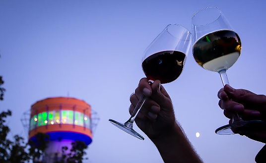 H&ouml;hengenuss auf dem Baumkronenpfad (Foto: T.Mohring)
