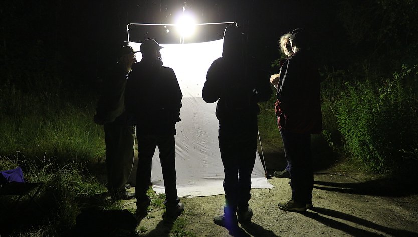 N&auml;chtliche Falterbeobachtung wieder am kommenden Montag (Foto: S.Staubit)