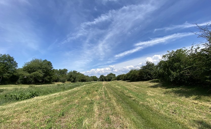 Das hei&szlig;e Sommerwetter bleibt uns erhalten (Foto: oas)