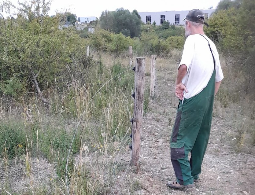 Sch&auml;fer Klaus Endres an seinem zerst&ouml;rten Zaun, im Hintergrund die Bundesstra&szlig;e am Gewerbegebiet Kindel (Foto: Nationalparkverwaltung)