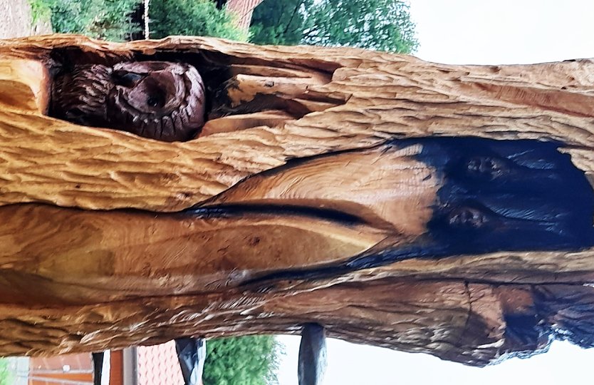 Ausschnitt von der Stele zum Urwaldpfad (Foto: Arge Drei L&auml;nder Ein Weg - Karstwanderweg S&uuml;dharz )