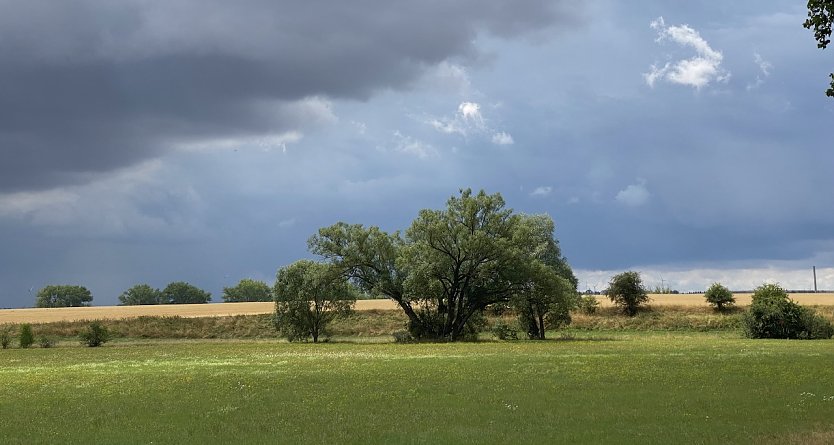 Ab Donnerstag wieder Schauer m&ouml;glich (Foto: oas)