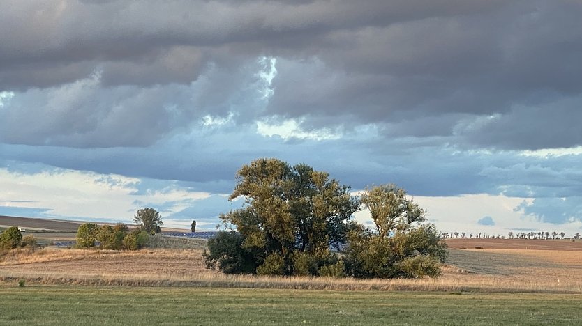 Es wird immer herbstlicher (Foto: oas)