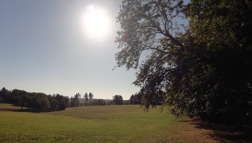 So&uuml;phienhof im harz meldet heute Morgen 4&deg;C. Aber Sonnenschein! (Foto: W.J&ouml;rgens)