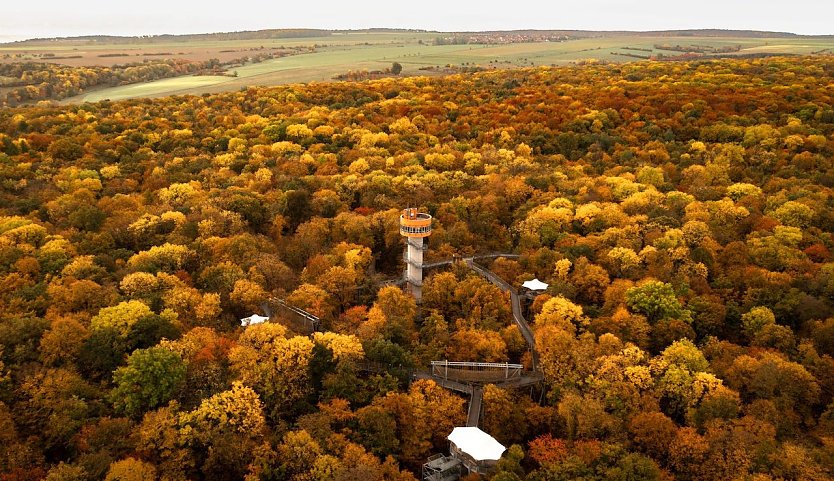 Indian Summer am Baumkronenpfad (Foto: &copy; T. Mohring)