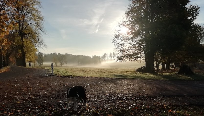 Unsere Wetterstation in Sophienhof im harz meldet heute Morgen 10 Grad Celsius, Windstille und Sonnenschein (Foto: W.J&ouml;rgens)