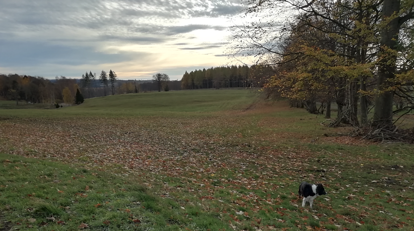 Auch in Sophienhof bleibt der Herbst weiter mild und freundlich (Foto: W. Jörgens) Auch in Sophienhof bleibt der Herbst weiter mild und freundlich (Foto: W. Jörgens)