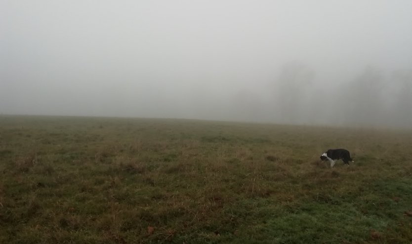 Im Harz ist heute nicht allzu viel zu sehen (hier: Sophienhof) (Foto: W. Jörgens) Im Harz ist heute nicht allzu viel zu sehen (hier: Sophienhof) (Foto: W. Jörgens)