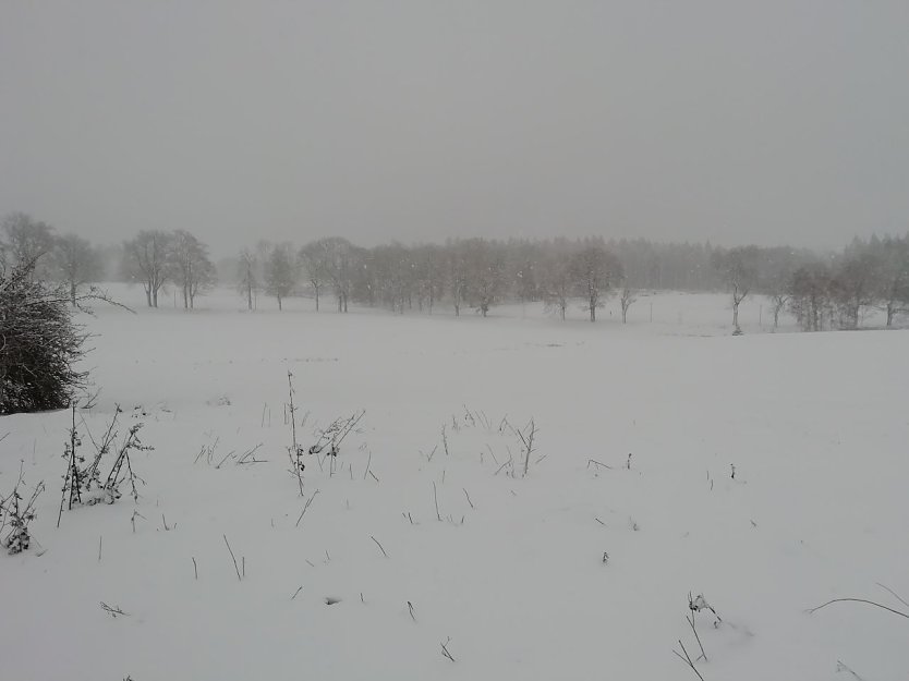Im Harz zeigte sich der Dezember heute von seiner ungem&uuml;tlichen Seite (Foto: W. J&ouml;rgens)