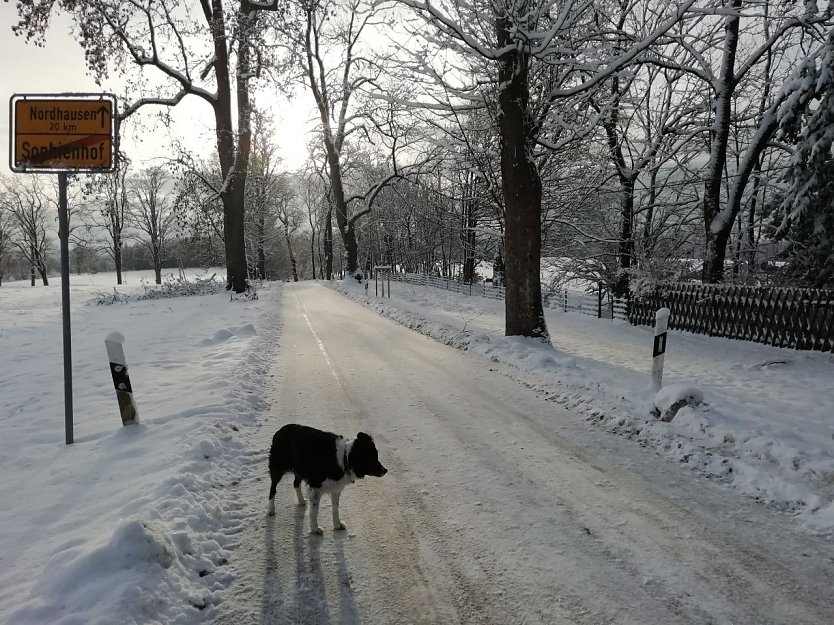 Winterliche Atmosph&auml;re im Harz (Foto: W. J&ouml;rgens)