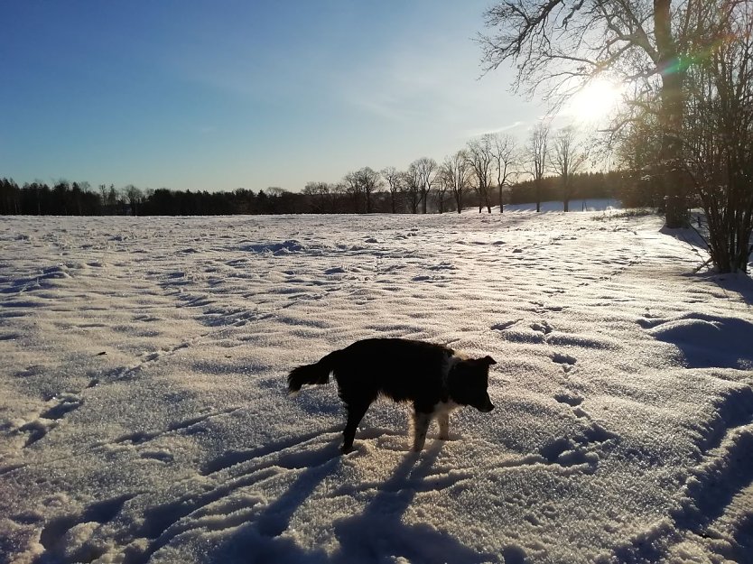 Bild: Schnee und Sonnenschein