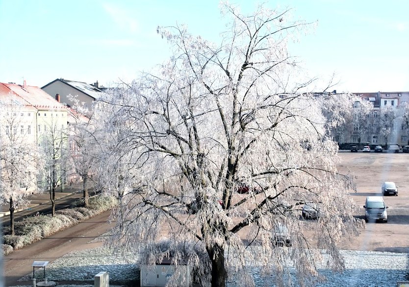 So sch&ouml;n kann Frost auch sein - den Schnappschuss hat Peter  Blei gestern in Nordhausen gemacht (Foto: Peter Blei)