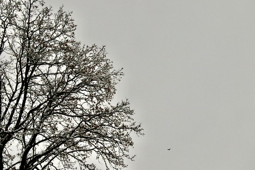 Wetterbild (Foto: agl)