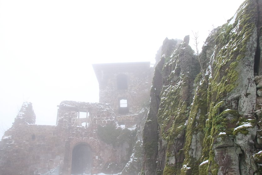 Bild: Die Burgruine Hohnstein in Winterkleid und Nebel