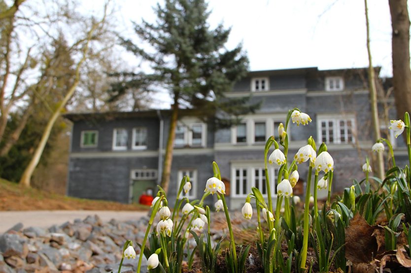 Auch im Park h&auml;lt langsam der Fr&uuml;hling Einzug (Foto: agl)