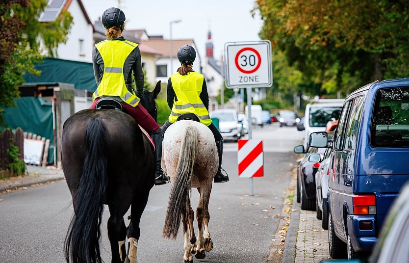 F&uuml;r Reiter gelten im Stra&szlig;enverkehr die gleichen Vorschriften wie f&uuml;r Autofahrer (Foto: Steve Bauerschmidt)