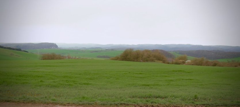 Ein Foto wird dem realen Anblick oft nicht gerecht, wie sch&ouml;n die Landschaft rund um die R&uuml;digsdorfer Schweiz ist, sollen wanderfreudige und schwindelfreie Zeitgenossen bald aus der H&ouml;he selbst beobachten k&ouml;nnen (Foto: agl)