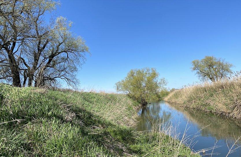 Ab morgen erwartet uns endlich Fr&uuml;hlingswetter (Foto: oas)