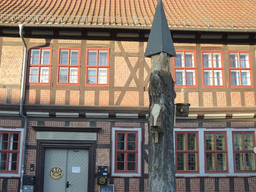 Umgebauter Baum vor dem Pfarrhaus (Foto: KILA)