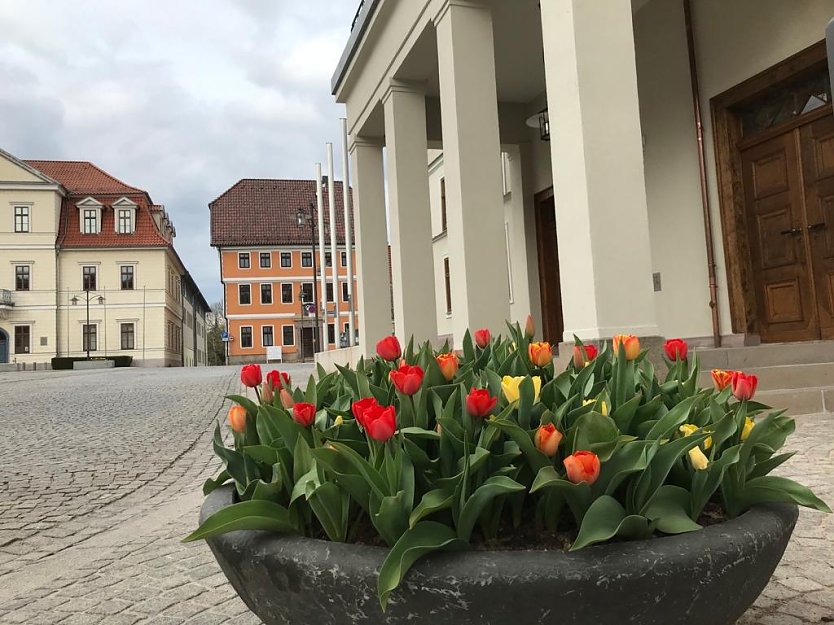 Blick auf das Rathaus in Sondershausen (Foto: Eva Maria Wiegand) Blick auf das Rathaus in Sondershausen (Foto: Eva Maria Wiegand)